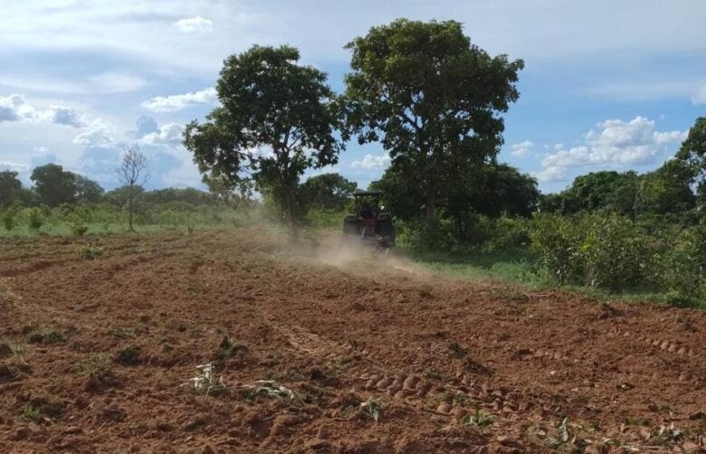 Governo de MT investe em projeto-piloto que garantirá produção e venda de gengibre e açafrão_6620393598b9e.jpeg